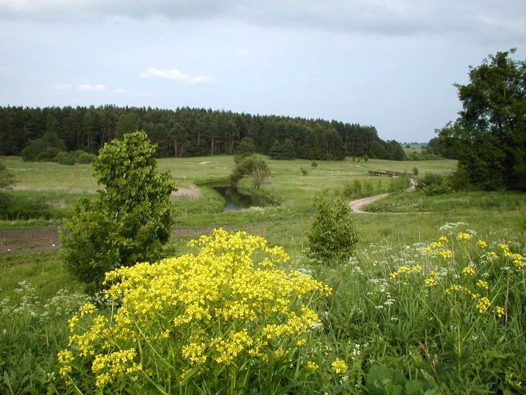 Palac Wojciechy Екстер'єр фото